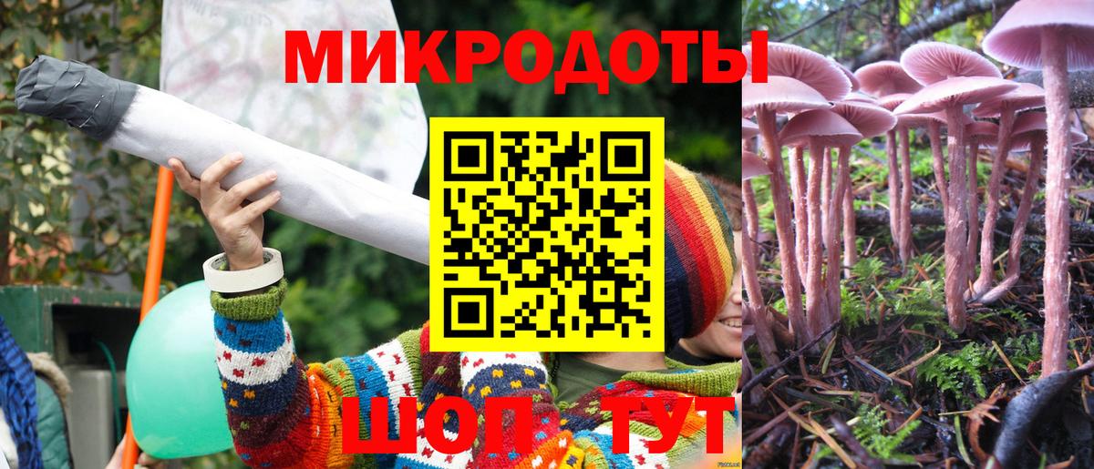 Псилоцибиновые грибы прущие грибы  Вход с VPN  Алушта  Галлюциногенные грибы Psilocybe 